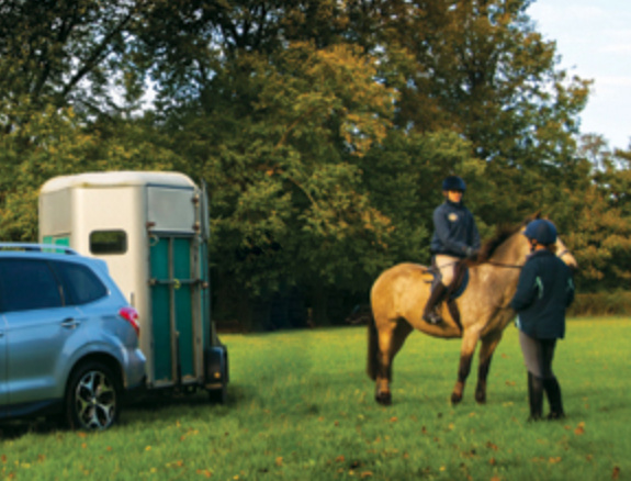 Farm Rides, Private Hacking, Horse Rides Organisation in Essex and Suffolk